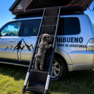 escalera de perro para carpa