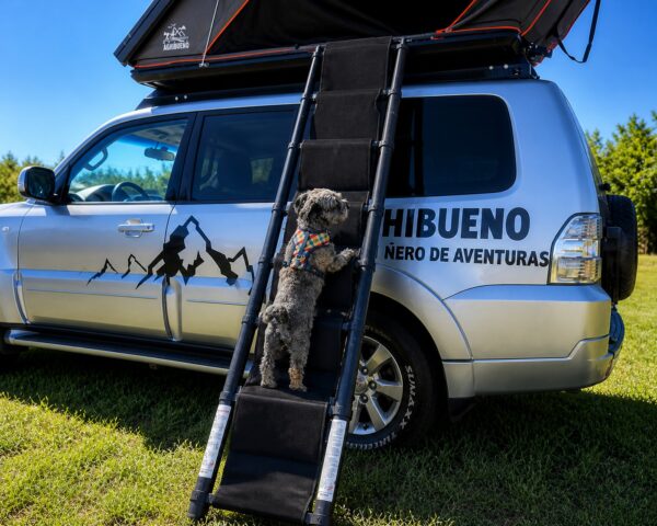 escalera de perro para carpa